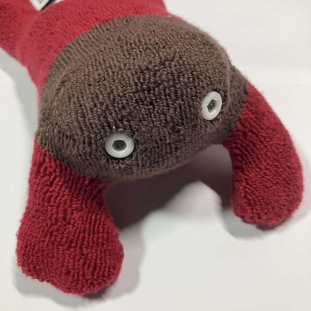 クツシタ人